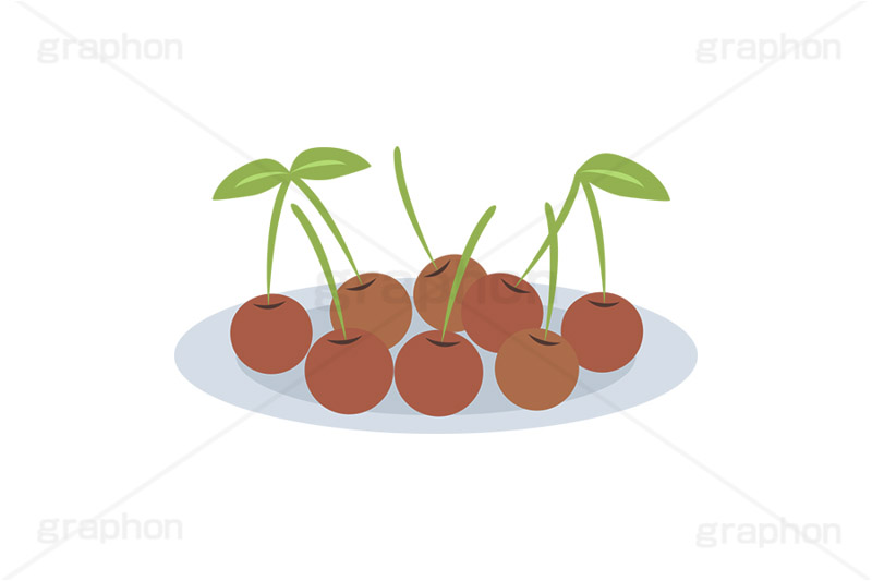 さくらんぼ,サクランボ,チェリー,フルーツ,果実,果物,デザート,皿,挿絵,挿し絵,fruit,cherry