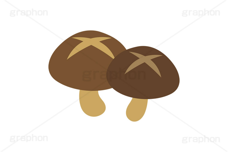 椎茸,シイタケ,しいたけ,キノコ,きのこ,茸,挿絵,挿し絵,fruit,mushroom