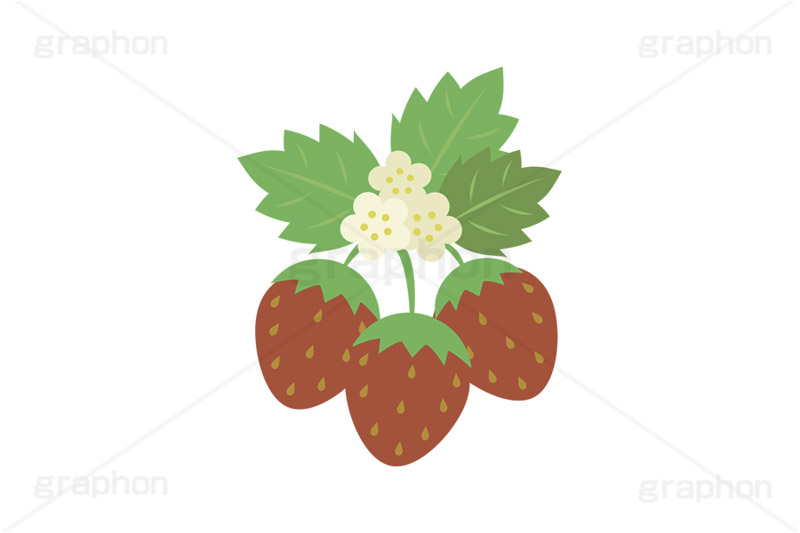 苺の花,花,フラワー,苺,いちご,イチゴ,ストロベリー,フルーツ,果実,果物,デザート,挿絵,挿し絵,fruit,strawberry,flower