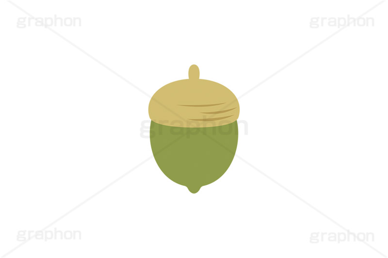 どんぐり,ドングリ,団栗,木のみ,木の実,実,秋,挿絵,挿し絵,acorn,autumn