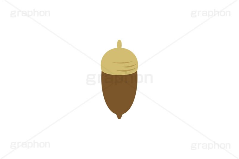 どんぐり,ドングリ,団栗,木のみ,木の実,実,秋,挿絵,挿し絵,acorn,autumn