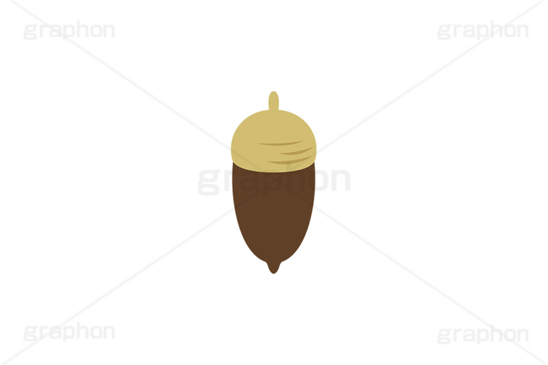 どんぐり,ドングリ,団栗,木のみ,木の実,実,秋,挿絵,挿し絵,acorn,autumn