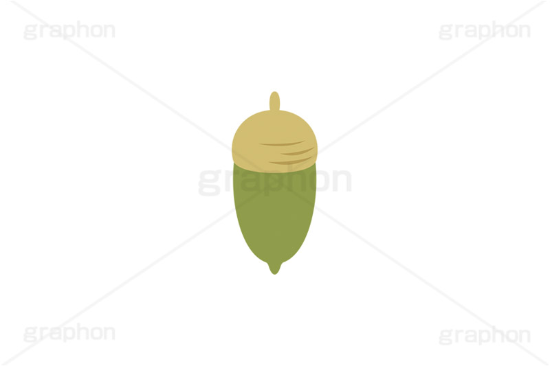 どんぐり,ドングリ,団栗,木のみ,木の実,実,秋,挿絵,挿し絵,acorn,autumn