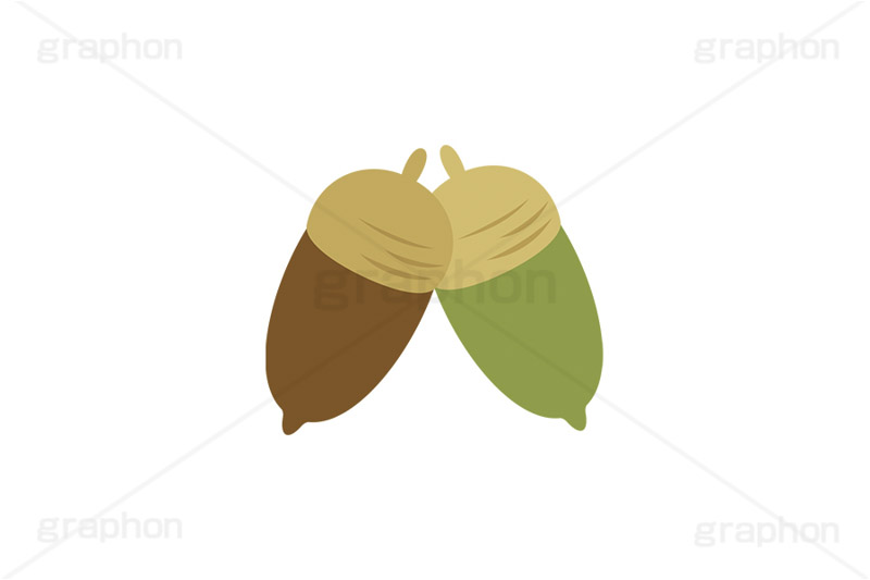 どんぐり,ドングリ,団栗,木のみ,木の実,実,秋,挿絵,挿し絵,acorn,autumn