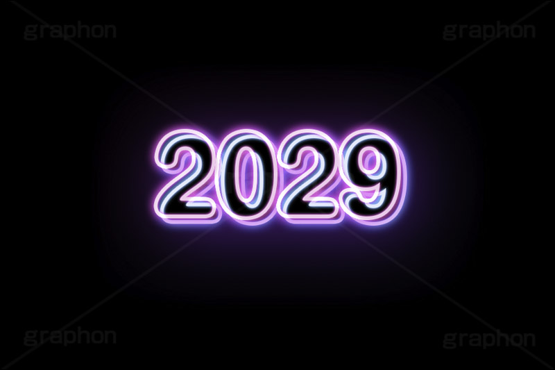 2029ネオン,ネオン,ネオン管,光,ライト,電飾,照明,発光,年号,西暦,年,文字,テキスト,neon,text,2029