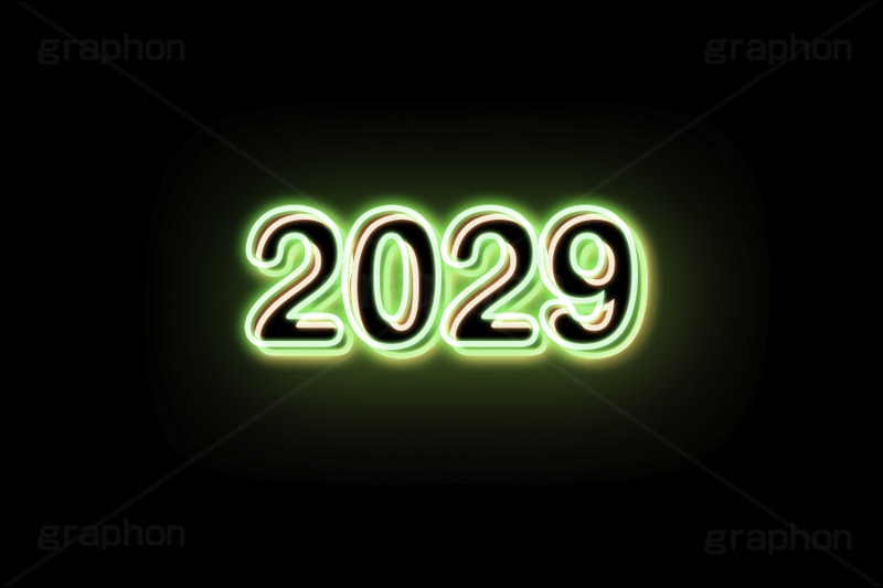 2029ネオン,ネオン,ネオン管,光,ライト,電飾,照明,発光,年号,西暦,年,文字,テキスト,neon,text,2029