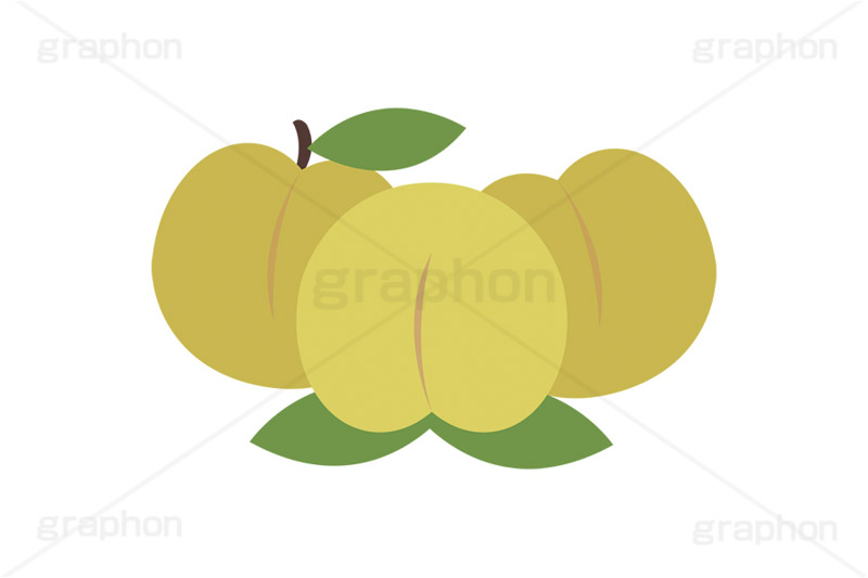 黄桃,もも,桃,モモ,ピーチ,フルーツ,果実,果物,デザート,挿絵,挿し絵,fruit,autumn,peach