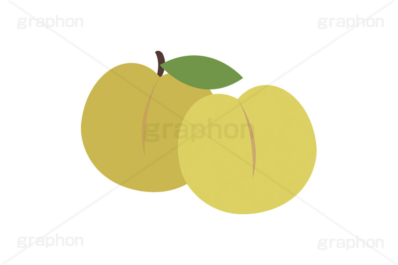黄桃,もも,桃,モモ,ピーチ,フルーツ,果実,果物,デザート,挿絵,挿し絵,fruit,autumn,peach