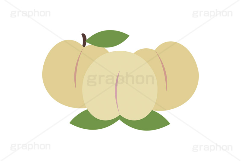 白桃,もも,桃,モモ,ピーチ,フルーツ,果実,果物,デザート,挿絵,挿し絵,fruit,autumn,peach