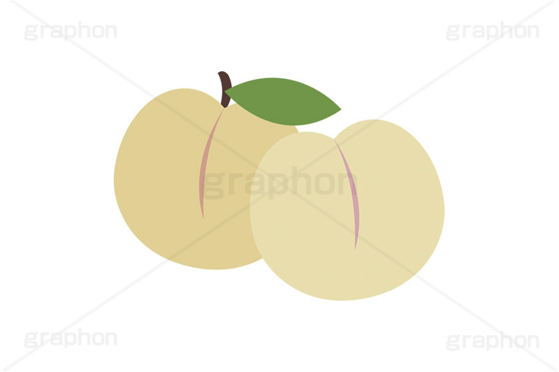 白桃,もも,桃,モモ,ピーチ,フルーツ,果実,果物,デザート,挿絵,挿し絵,fruit,autumn,peach