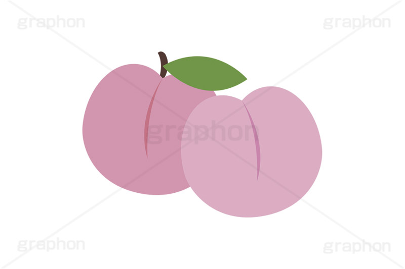 桃,もも,モモ,ピーチ,フルーツ,果実,果物,デザート,挿絵,挿し絵,fruit,autumn,peach
