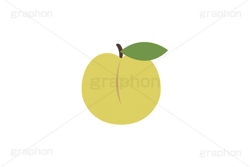 黄桃,もも,桃,モモ,ピーチ,フルーツ,果実,果物,デザート,挿絵,挿し絵,fruit,autumn,peach