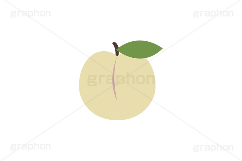 白桃,もも,桃,モモ,ピーチ,フルーツ,果実,果物,デザート,挿絵,挿し絵,fruit,autumn,peach