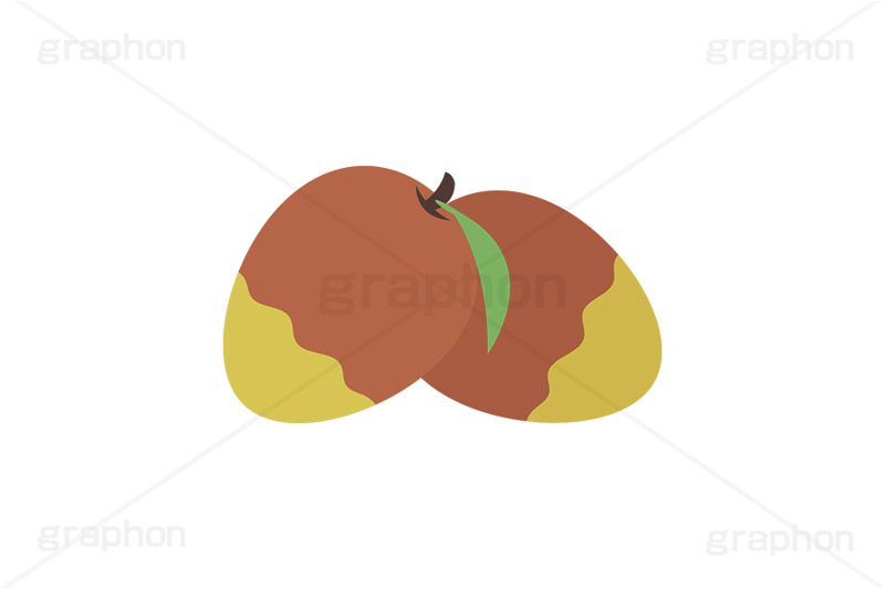 マンゴー,トロピカルフルーツ,フルーツ,果実,果物,デザート,挿絵,挿し絵,fruit,autumn,mango