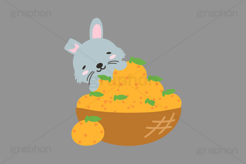 冬はみかん,みかん,ミカン,フルーツ,かご,カゴ,籠,うさぎキャラクター,干支,卯年,お正月,正月,年賀状,うさぎ,ウサギ,卯,兎,兔,ラビット,イベント,ニューイヤー,冬,行事,イラスト,キャラクター,動物,小動物,ポップ,可愛い,かわいい,カワイイ,挿絵,挿し絵,newyear,illustration,POP,winter,rabbit,卯年年賀状