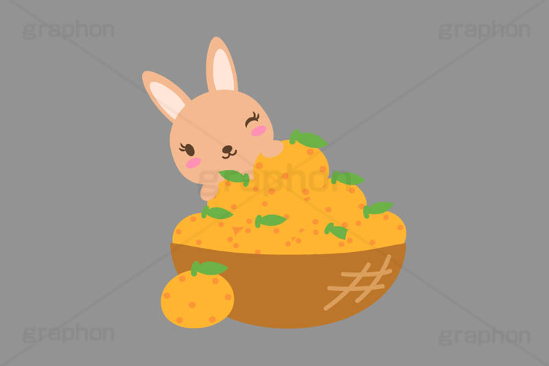 冬はみかん,みかん,ミカン,フルーツ,かご,カゴ,籠,うさぎキャラクター,干支,卯年,お正月,正月,年賀状,うさぎ,ウサギ,卯,兎,兔,ラビット,イベント,ニューイヤー,冬,行事,イラスト,キャラクター,動物,小動物,ポップ,可愛い,かわいい,カワイイ,挿絵,挿し絵,newyear,illustration,POP,winter,rabbit,卯年年賀状