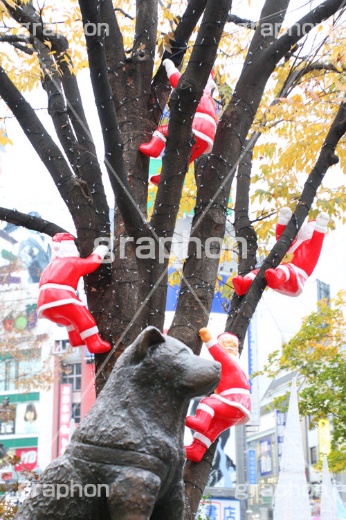 ハチ公前クリスマスデコレーション,渋谷,しぶや,ハチ公前,待ち合わせ,待合せ,クリスマスオーナメント,クリスマス,CHRISTMAS,Xmas,飾り,デコレーション,イベント,おもちゃ,shibuya,冬,装飾,ornament,Santa,サンタ,サンタクロース,登る,上る,イルミネーション,行事