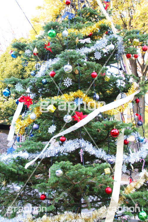 代々木公園クリスマスツリー,クリスマスツリー,代々木公園,代々木,よよぎ,クリスマスオーナメント,クリスマス,CHRISTMAS,Xmas,飾り,デコレーション,イベント,冬,行事