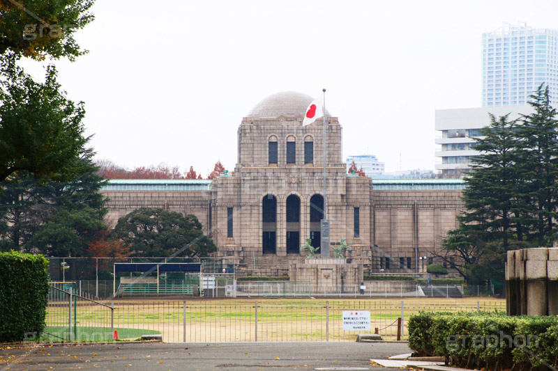 神宮外苑イチョウ並木,神宮外苑,イチョウ並木,紅葉,イチョウ,いちょう,銀杏,こうよう,もみじ,モミジ,紅葉狩り,黄葉,落葉広葉樹,カエデ科,秋,季語,落ち葉,外苑前,港区,japan,autumn