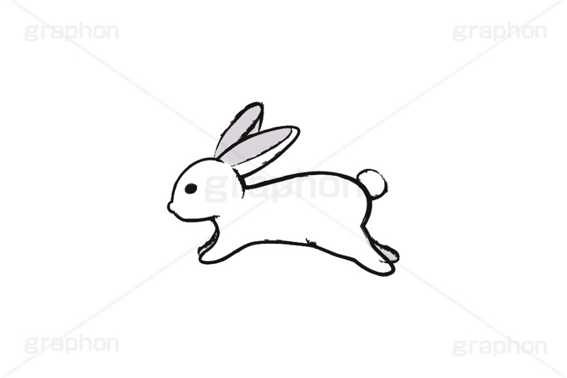 白うさぎ,うさぎ,ウサギ,卯,兎,兔,ラビット,跳ねる,ジャンプ,干支,卯年,お正月,正月,年賀状,イラスト,月見,お月見,動物,小動物,和風,挿絵,挿し絵,手描き,筆絵,newyear,illustration,POP,winter,rabbit,japan,卯年年賀状
