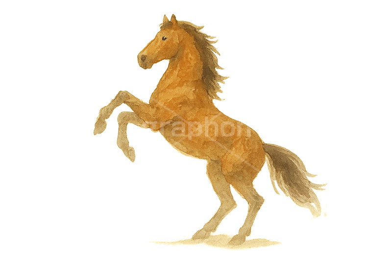 水彩テイスト馬イラスト,馬イラスト,午,馬,うま,ウマ,ジャンプ,躍動感,水彩,水彩画,午年,干支,正月,お正月,年賀状,2026午年,午年年賀状,新年,ニューイヤー,アニバーサリー,イラスト,illustration,japan,horse