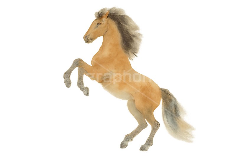 水彩テイスト馬イラスト,馬イラスト,午,馬,うま,ウマ,ジャンプ,躍動感,水彩,水彩画,午年,干支,正月,お正月,年賀状,2026午年,午年年賀状,新年,ニューイヤー,アニバーサリー,イラスト,illustration,japan,horse