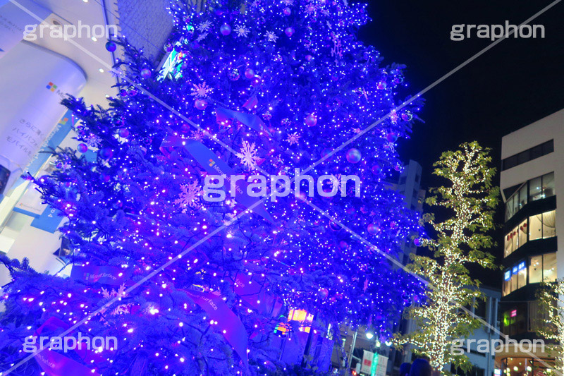 PARCOクリスマスツリー,イルミネーション,イルミ,illumination,電飾,電球,発光ダイオード,LED,冬,キラキラ,綺麗,きれい,キレイ,煌,輝,スポット,都内,渋谷,PARCO,パルコ,真っ青,イベント,shibuya,行事