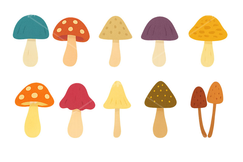 キノコ・セット,きのこ,キノコ,茸,秋の味覚,秋の素材セット,秋,イラスト,セットイラスト,セット,手描き風,illustration,autumn,mushroom