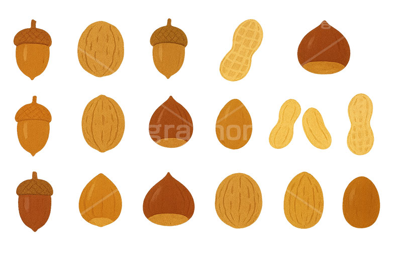 木の実セット,くり,クリ,栗,どんぐり,ドングリ,団栗,木の実,クルミ,くるみ,ナッツ,秋の素材セット,秋,イラスト,セットイラスト,セット,手描き風,illustration,autumn