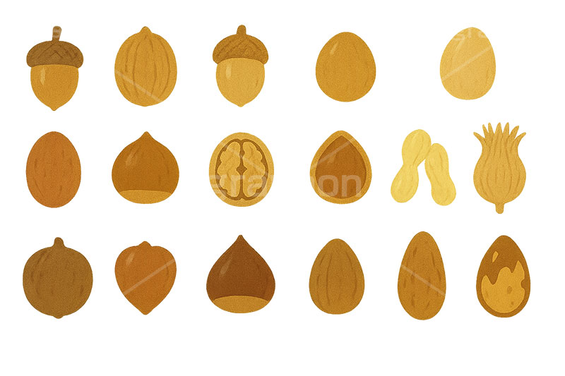 木の実セット,くり,クリ,栗,どんぐり,ドングリ,団栗,木の実,クルミ,くるみ,ナッツ,秋の素材セット,秋,イラスト,セットイラスト,セット,手描き風,illustration,autumn