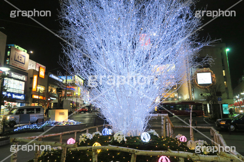 イルミネーション,イルミ,illumination,電飾,電球,発光ダイオード,LED,冬,キラキラ,綺麗,きれい,キレイ,煌,輝,デート,スポット,都内,自由が丘,イベント,冬,目黒区,行事