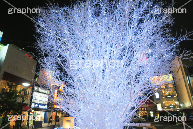 イルミネーション,イルミ,illumination,電飾,電球,発光ダイオード,LED,冬,キラキラ,綺麗,きれい,キレイ,煌,輝,デート,スポット,都内,自由が丘,イベント,冬,目黒区,行事