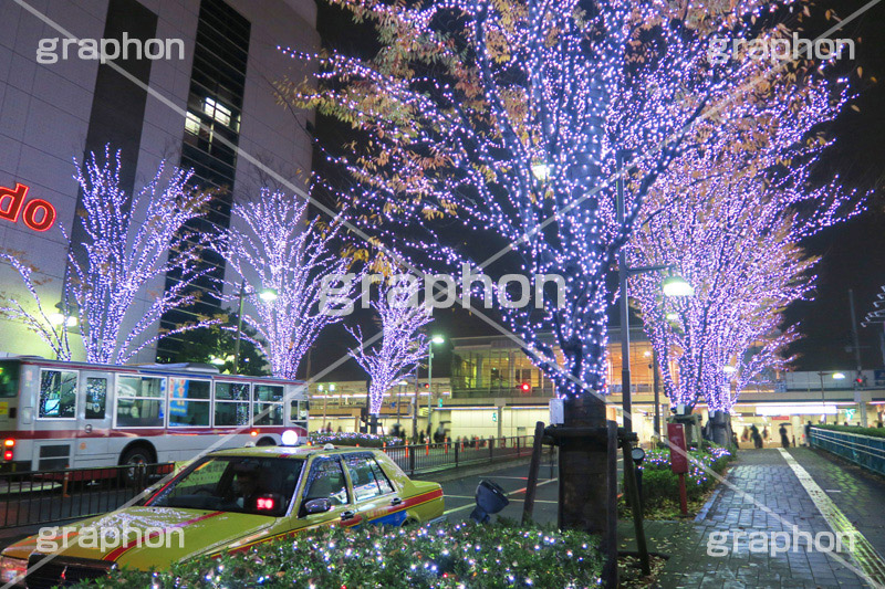 大井町,おおいまち,イルミネーション,イルミ,illumination,電飾,電球,発光ダイオード,LED,冬,キラキラ,綺麗,きれい,キレイ,煌,輝,イベント,品川区,行事