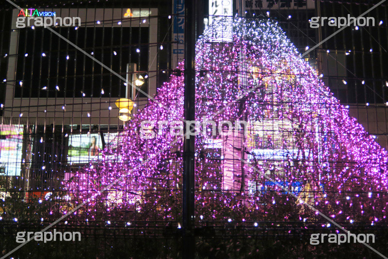 新宿,しんじゅく,イルミネーション,イルミ,illumination,電飾,電球,発光ダイオード,LED,冬,キラキラ,富士山型,アルタ前,イベント,shinjuku,event,行事