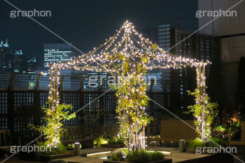 屋上庭園,屋上,庭園,新宿,しんじゅく,マルイ,イルミネーション,イルミ,illumination,電飾,電球,冬,キラキラ,都会,都心,ロマンチック,イベント,shinjuku,event,行事