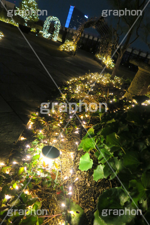 屋上庭園,屋上,庭園,新宿,しんじゅく,マルイ,イルミネーション,イルミ,illumination,電飾,電球,冬,キラキラ,都会,都心,ロマンチック,イベント,shinjuku,event,行事