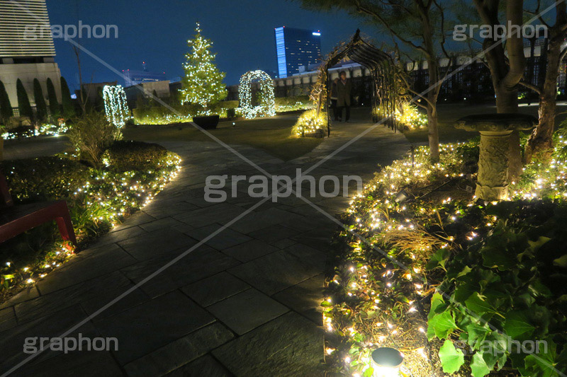 屋上庭園,屋上,庭園,新宿,しんじゅく,マルイ,イルミネーション,イルミ,illumination,電飾,電球,冬,キラキラ,都会,都心,ロマンチック,イベント,shinjuku,event,行事