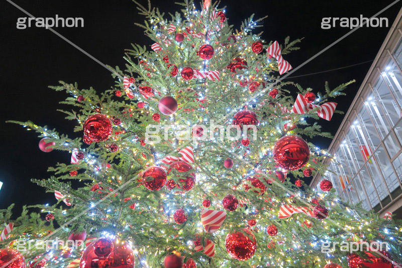 ヒカリエ・クリスマスツリー,クリスマスツリー,渋谷,しぶや,ヒカリエ,クリスマスオーナメント,クリスマス,CHRISTMAS,Xmas,飾り,デコレーション,イルミネーション,イルミ,イベント,shibuya,冬,商業施設,行事