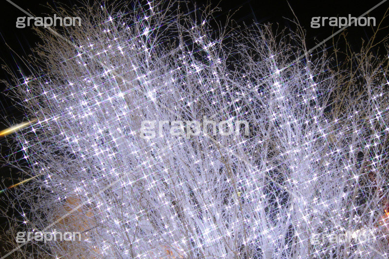 イルミネーション,イルミ,illumination,電飾,電球,発光ダイオード,LED,冬,キラキラ,綺麗,きれい,キレイ,煌,輝,デート,スポット,都内,自由が丘,イベント,目黒区,クロスフィルタ,行事