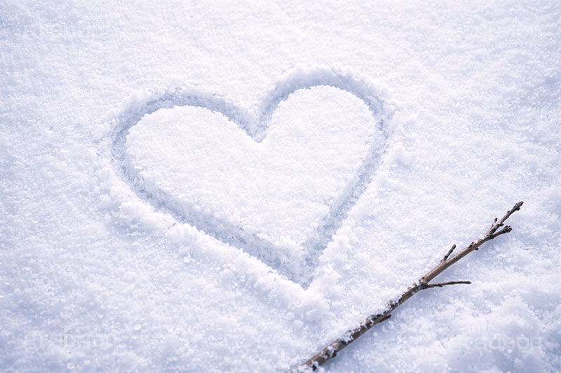 雪にハート,ハート,はーと,雪,ゆき,枝,積,跡,冬,告白,恋愛,失恋,恋,愛,プリ画,ロマンチック,ウェディング,プロポーズ,バレンタイン,ホワイトデー,ポエム,LOVE,heart,snow,winter,wedding,propose,valentine,whiteday,poem,AI生成素材