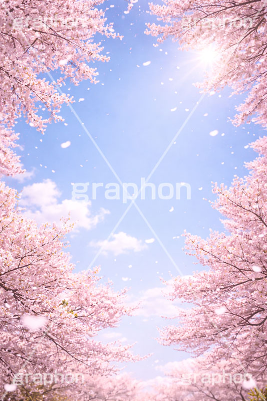桜と青空,青空,空,満開,花吹雪,爽やか,さわやか,桜,さくら,サクラ,花見,ブロッサム,春,花,花びら,花弁,背景,blossom,spring,flower,AI生成素材