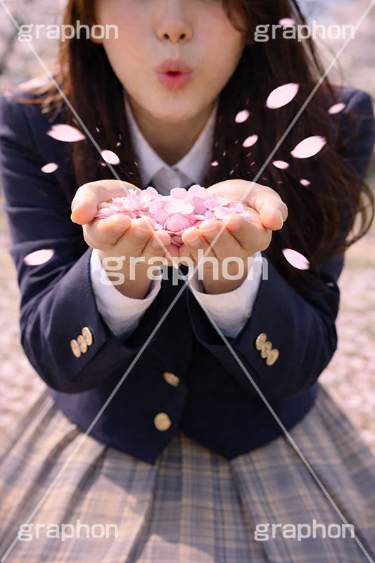 桜吹雪,女性,女子,人物,手,吹く,女子高生,高校生,女子高校生,ブレザー,桜,さくら,サクラ,花見,花吹雪,ブロッサム,春,花,花びら,花弁,背景,blossom,spring,flower,hand,AI生成素材