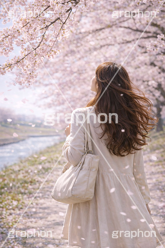 お花見さんぽ,散歩,さんぽ,女性,女子,人物,満開,桜,さくら,サクラ,花見,ブロッサム,春,花,花びら,花弁,背景,blossom,spring,flower,AI生成素材