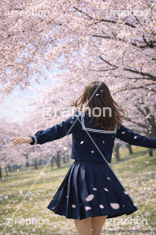 お花見さんぽ,散歩,さんぽ,女性,女子,女子高生,高校生,女子高校生,セーラー服,人物,満開,桜,さくら,サクラ,花見,ブロッサム,春,花,花びら,花弁,背景,blossom,spring,flower,AI生成素材