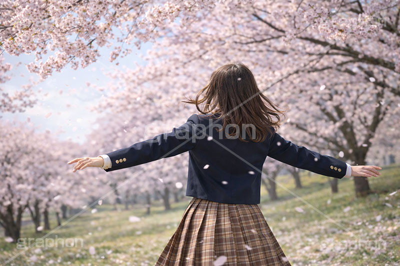 お花見さんぽ,散歩,さんぽ,女性,女子,女子高生,高校生,女子高校生,ブレザー,人物,満開,桜,さくら,サクラ,花見,ブロッサム,春,花,花びら,花弁,背景,blossom,spring,flower,AI生成素材