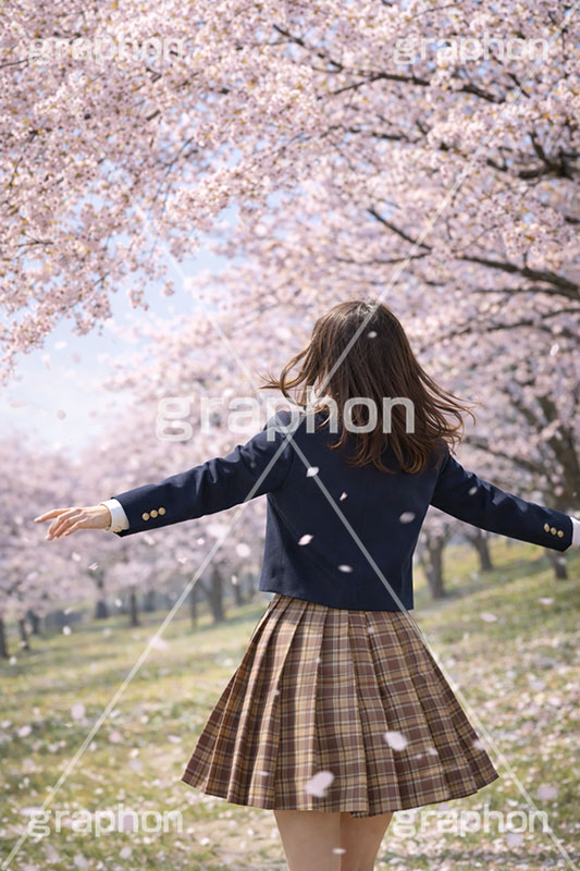 お花見さんぽ,散歩,さんぽ,女性,女子,女子高生,高校生,女子高校生,ブレザー,人物,満開,桜,さくら,サクラ,花見,ブロッサム,春,花,花びら,花弁,背景,blossom,spring,flower,AI生成素材