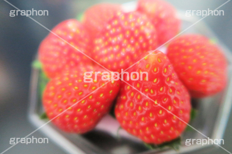 いちご,イチゴ,苺,フルーツ,fruit,ストロベリー,真っ赤,甘い,瑞々しい,みずみずしい,甘酸っぱい,果物