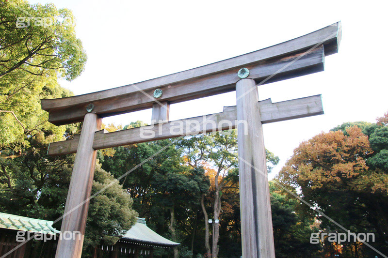鳥居,とりい,明治神宮,めいじじんぐう,渋谷区,明治天皇,昭憲皇太后,祭神,明治,神宫,境内,御苑,外苑,原宿