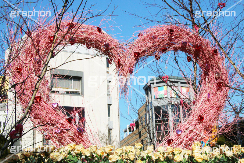 ハートのオーナメント,飾り,ハート,はーと,ラブ,らぶ,LOVE,バレンタイン,valentine,ロマンス,ロマンチック,ピンクの,heart,イベント,恋愛,失恋,恋,愛,行事,ホワイトデー