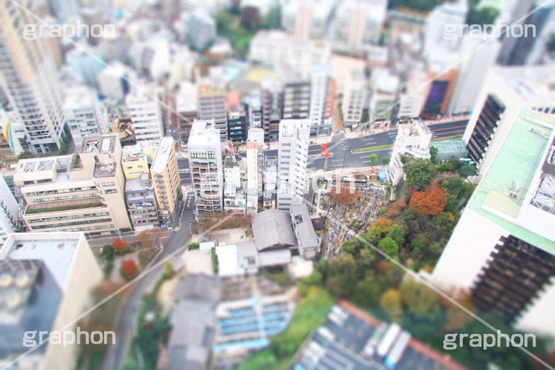 東京タワー下,東京タワー,Tokyo Tower,港区,高所,高所恐怖症,眺め,怖い,高い,見下ろす,展望台,展望,ティルトシフト,撮影,のような,模型風,ミニチュア風,ジオラマ風,あおり,煽り,japan